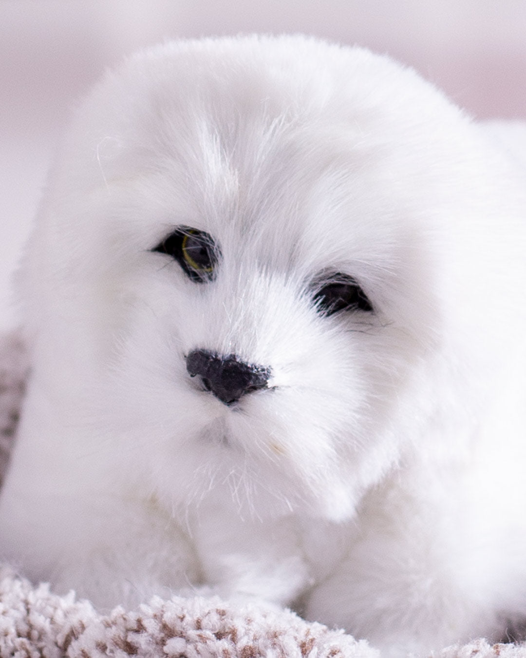 Playful Pup Tabletop Plush Toy