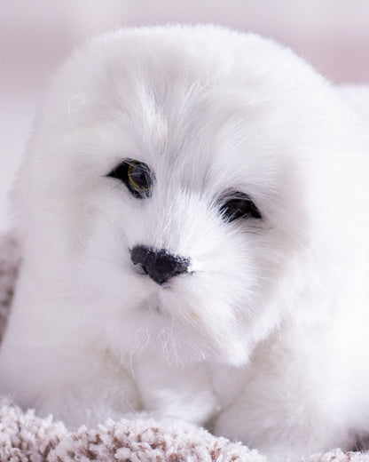 Playful Pup Tabletop Plush Toy